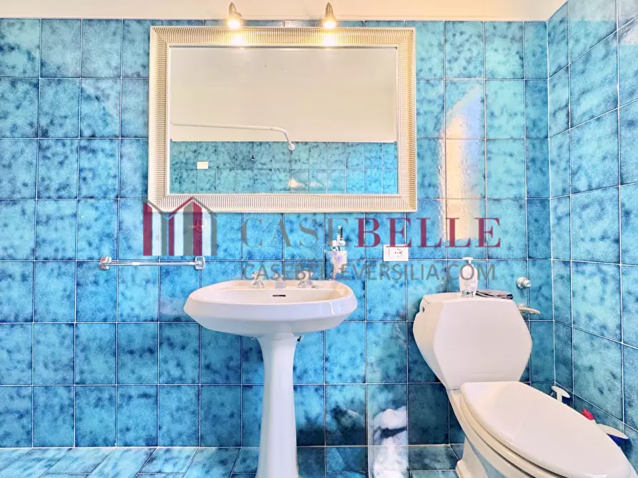 Immagine 11 di Appartamento in affitto  a Camaiore