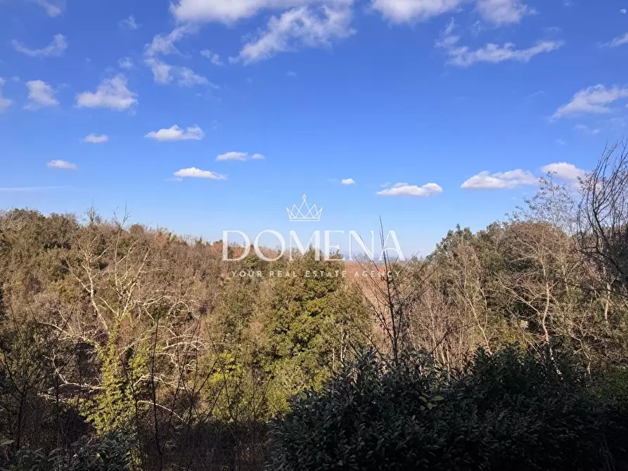 Immagine 16 di Appartamento in vendita  a Monteriggioni