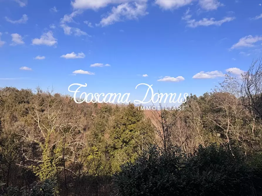 Immagine 16 di Appartamento in vendita  a Monteriggioni