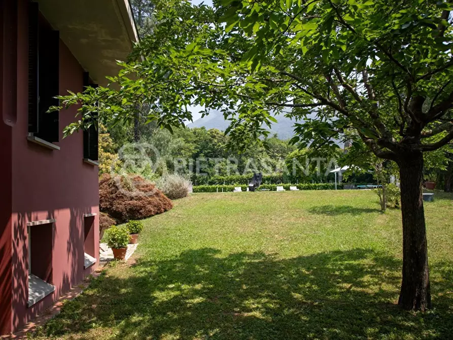 Immagine 5 di Villa in vendita  a Camaiore