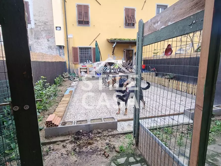 Immagine 5 di Terratetto in vendita  a Porcari