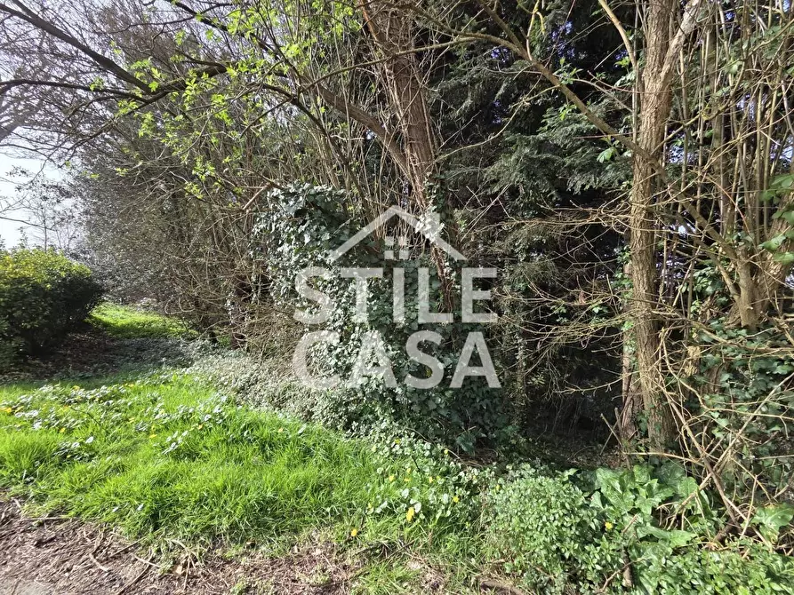 Immagine 22 di Terratetto in vendita  a Capannori