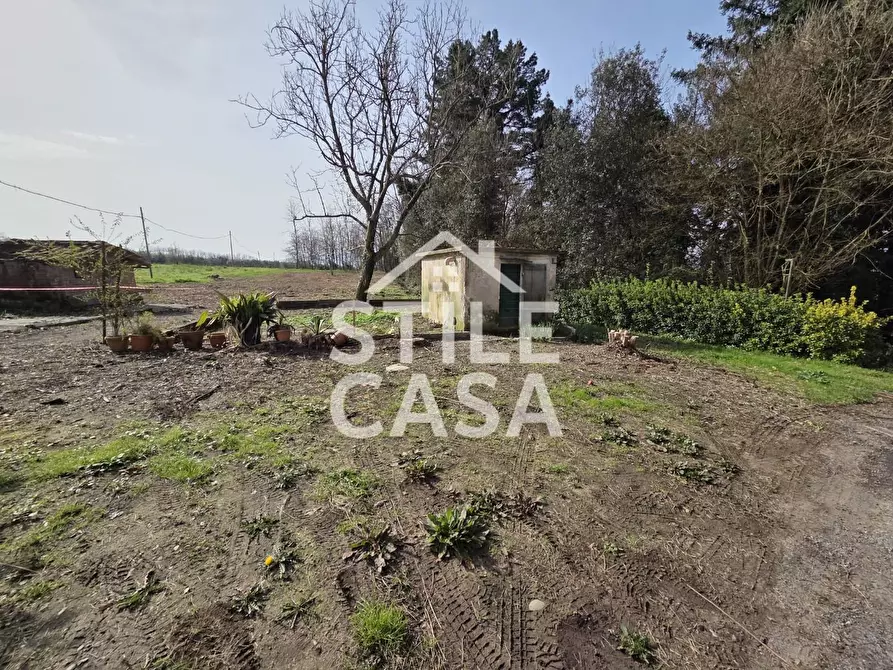 Immagine 38 di Terratetto in vendita  a Capannori