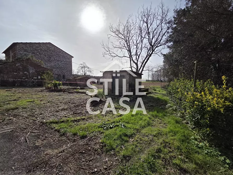 Immagine 24 di Terratetto in vendita  a Capannori