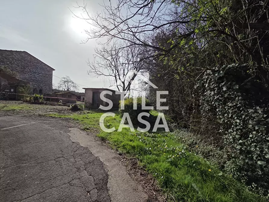 Immagine 11 di Terratetto in vendita  a Capannori