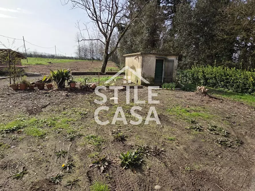 Immagine 3 di Terratetto in vendita  a Capannori