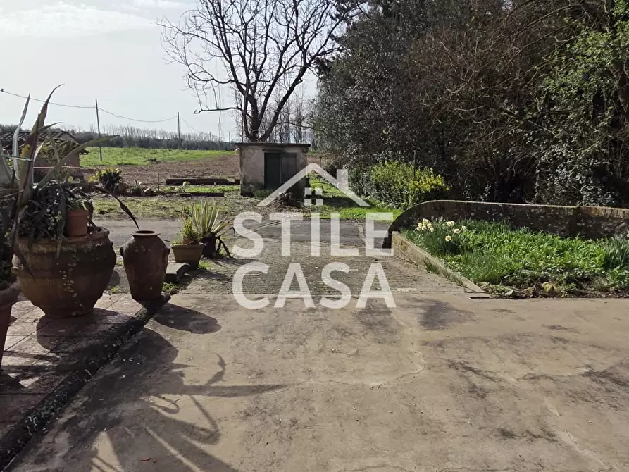 Immagine 21 di Terratetto in vendita  a Capannori