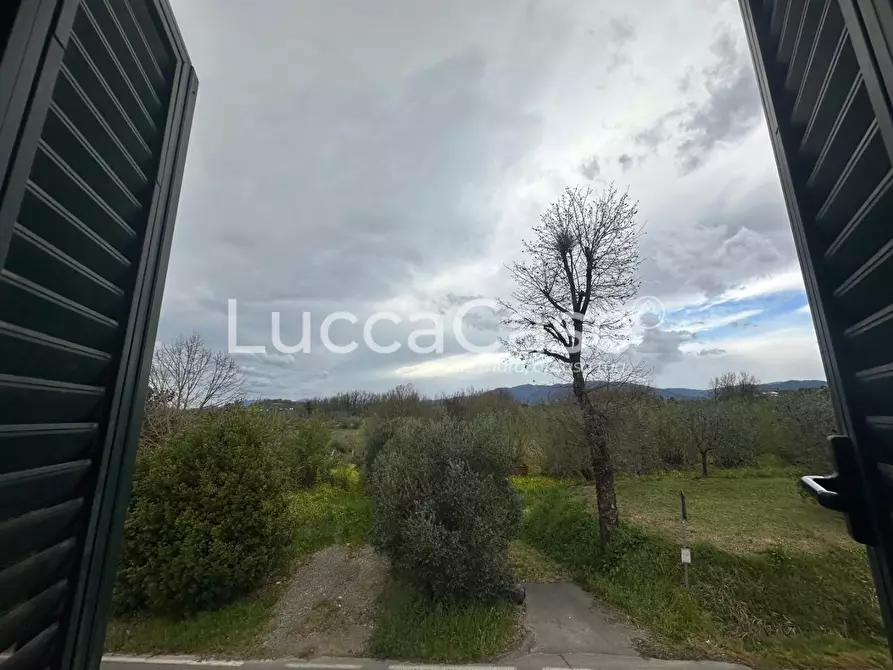 Immagine 20 di Casa indipendente in vendita  a Montecarlo