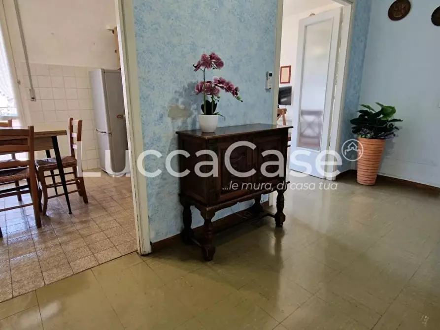 Immagine 17 di Appartamento in vendita  a Lucca