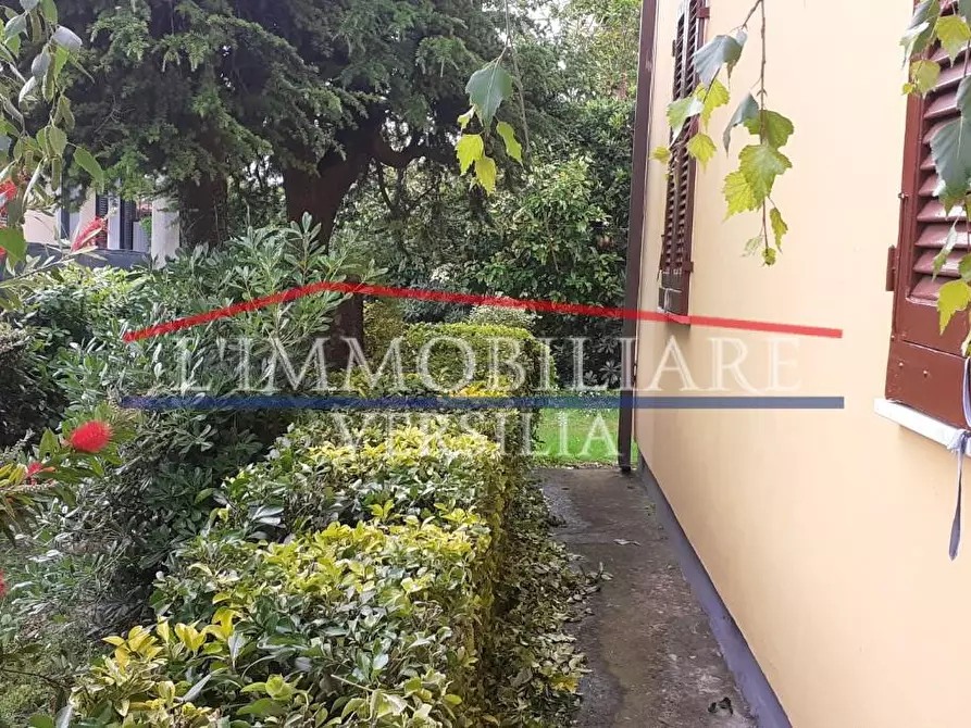 Immagine 17 di Casa indipendente in vendita  a Massa