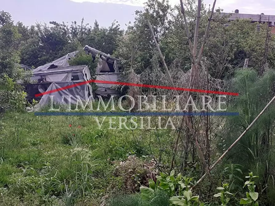 Immagine 20 di Casa indipendente in vendita  a Massa