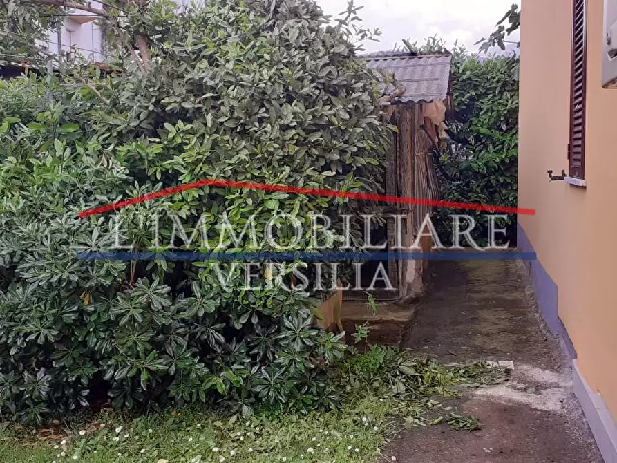 Immagine 15 di Casa indipendente in vendita  a Massa