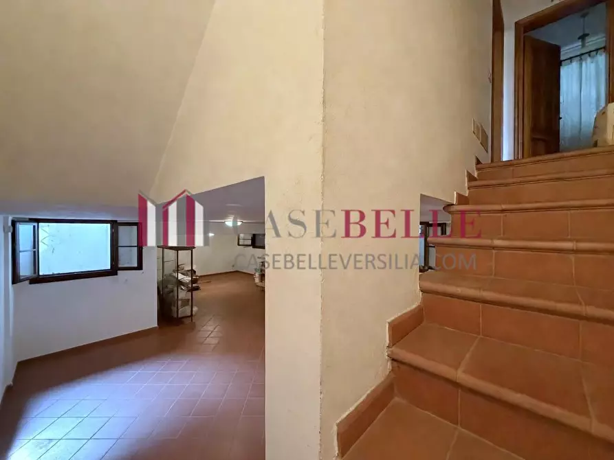 Immagine 48 di Casa trifamiliare in vendita  a Camaiore