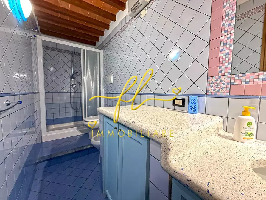 Immagine 11 di Appartamento in vendita  a Riparbella