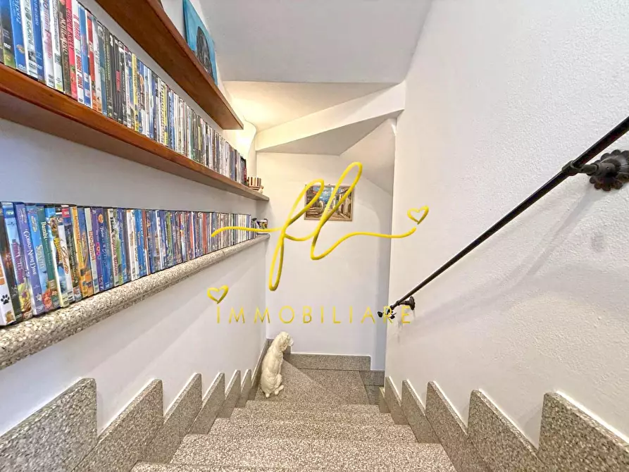 Immagine 31 di Appartamento in vendita  a Cecina