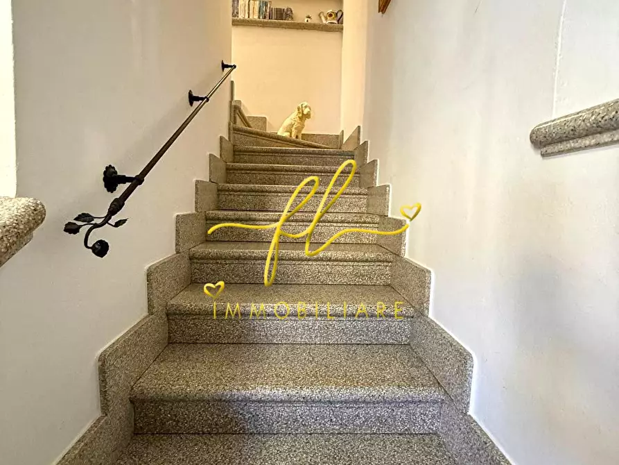 Immagine 34 di Appartamento in vendita  a Cecina