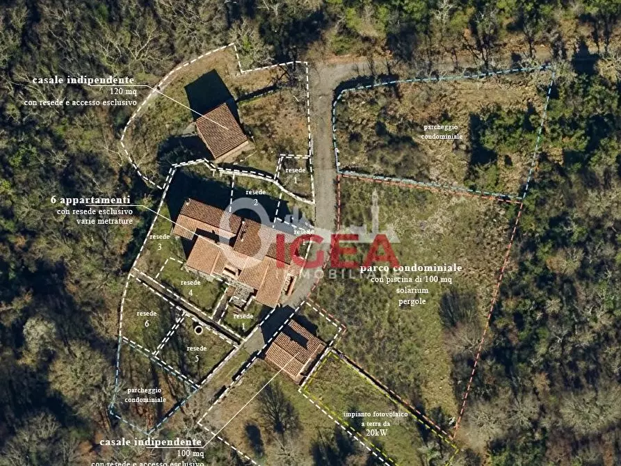 Immagine 5 di Appartamento in vendita  a Castellina In Chianti