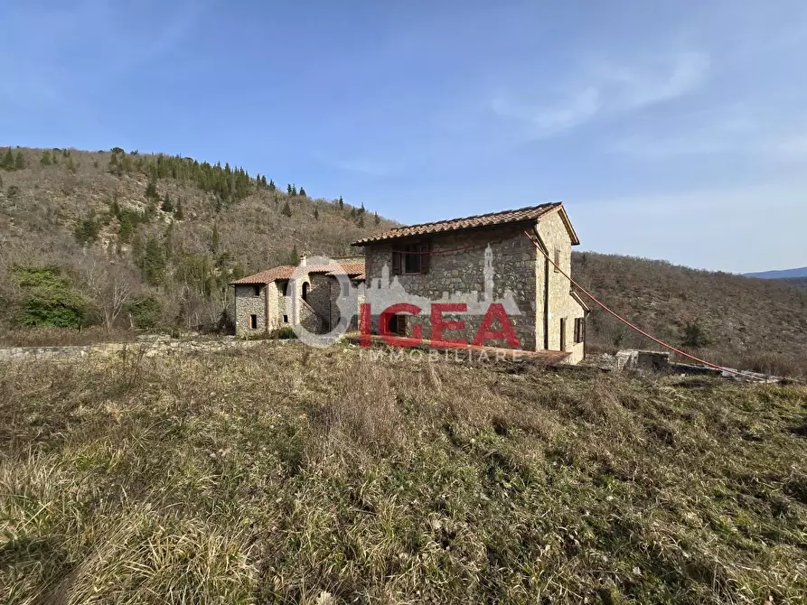 Immagine 12 di Appartamento in vendita  a Castellina In Chianti