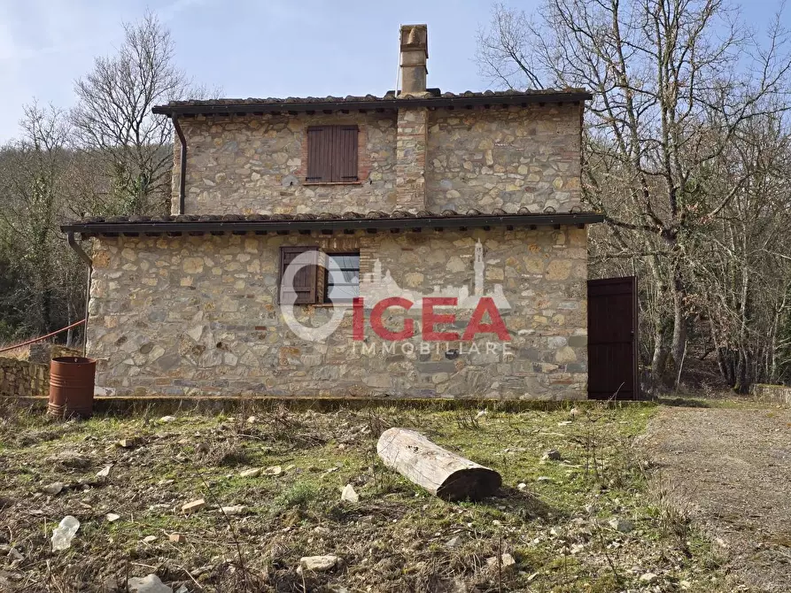 Immagine 11 di Appartamento in vendita  a Castellina In Chianti