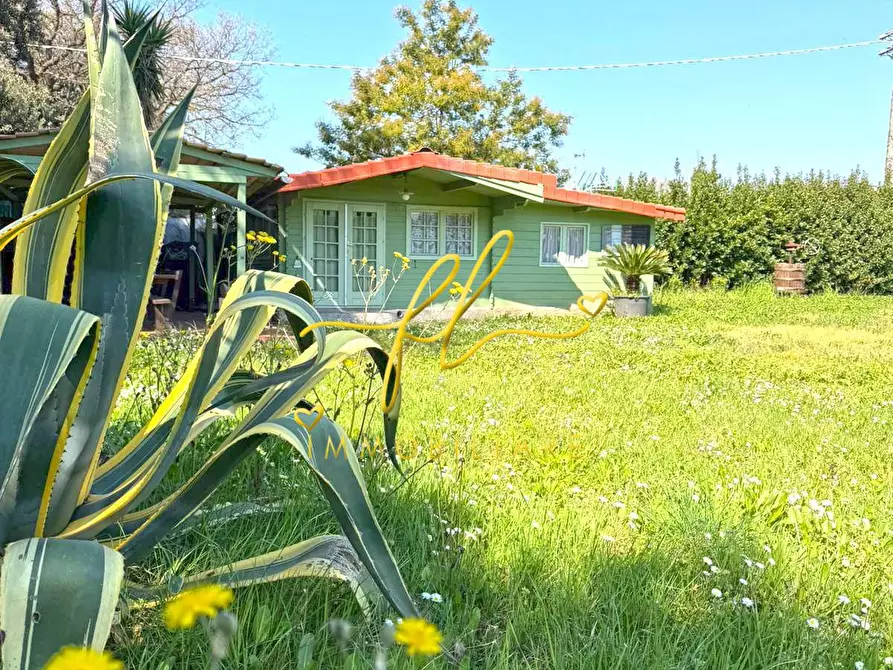 Immagine 2 di Terreno agricolo in vendita  a Rosignano Marittimo