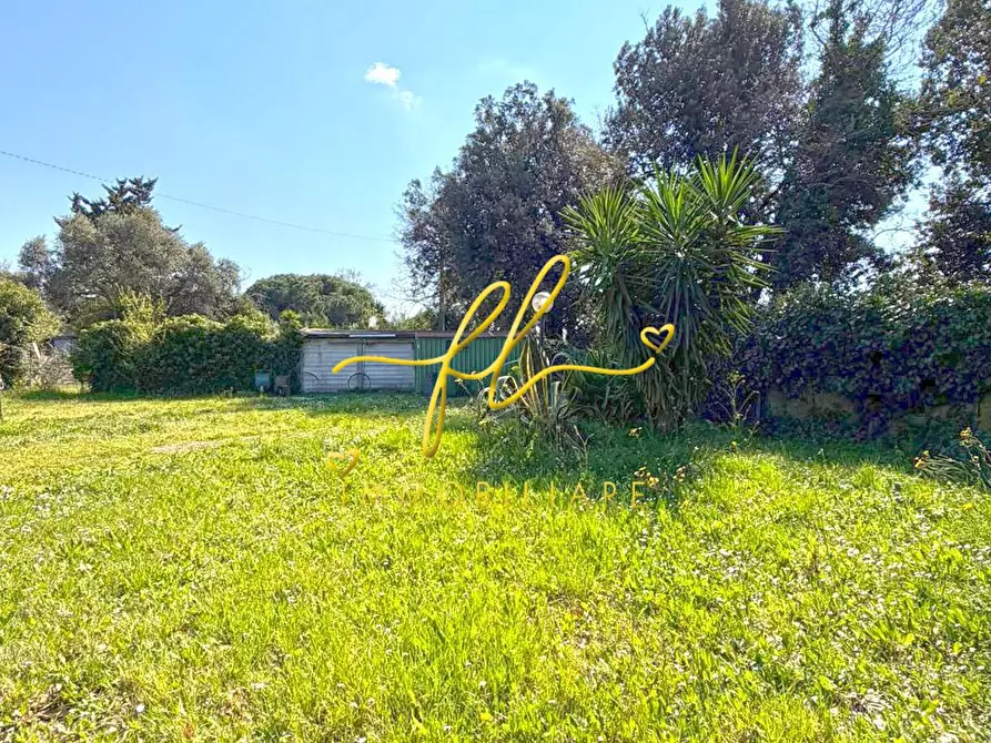 Immagine 3 di Terreno agricolo in vendita  a Rosignano Marittimo