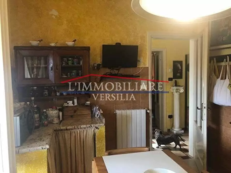 Immagine 11 di Villa in vendita  a Massa