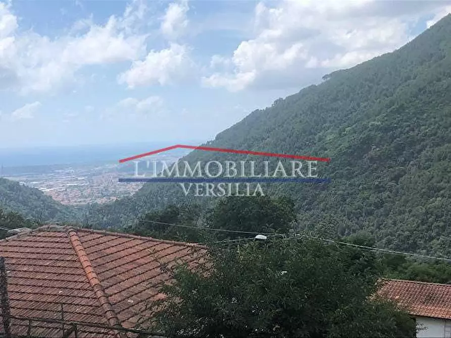 Immagine 1 di Villa in vendita  a Massa