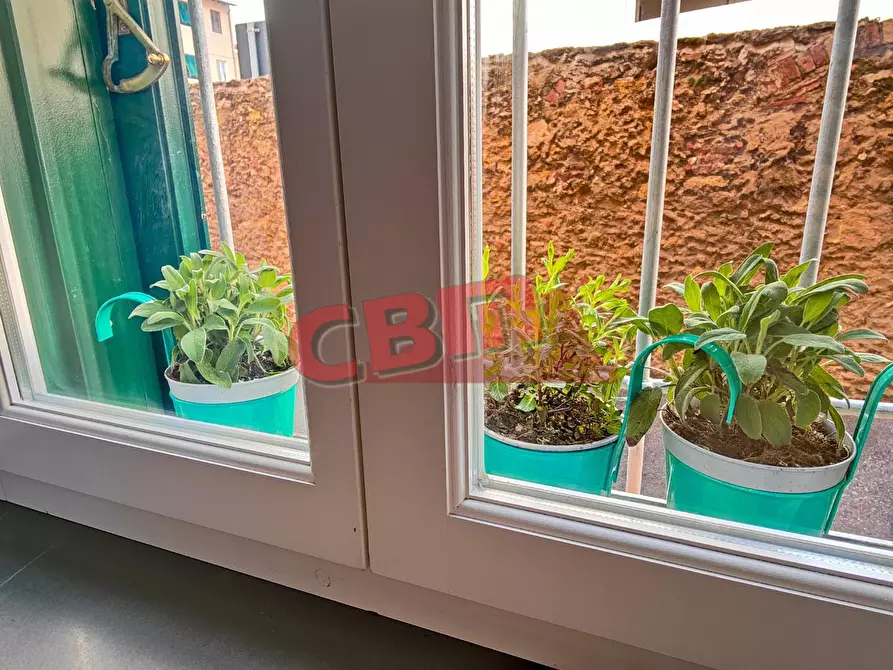 Immagine 8 di Appartamento in affitto  a Livorno