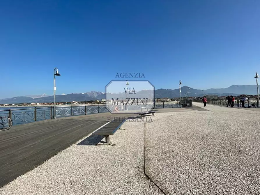 Immagine 18 di Villa in vendita  a Pietrasanta