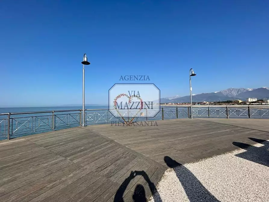 Immagine 23 di Villa in vendita  a Pietrasanta