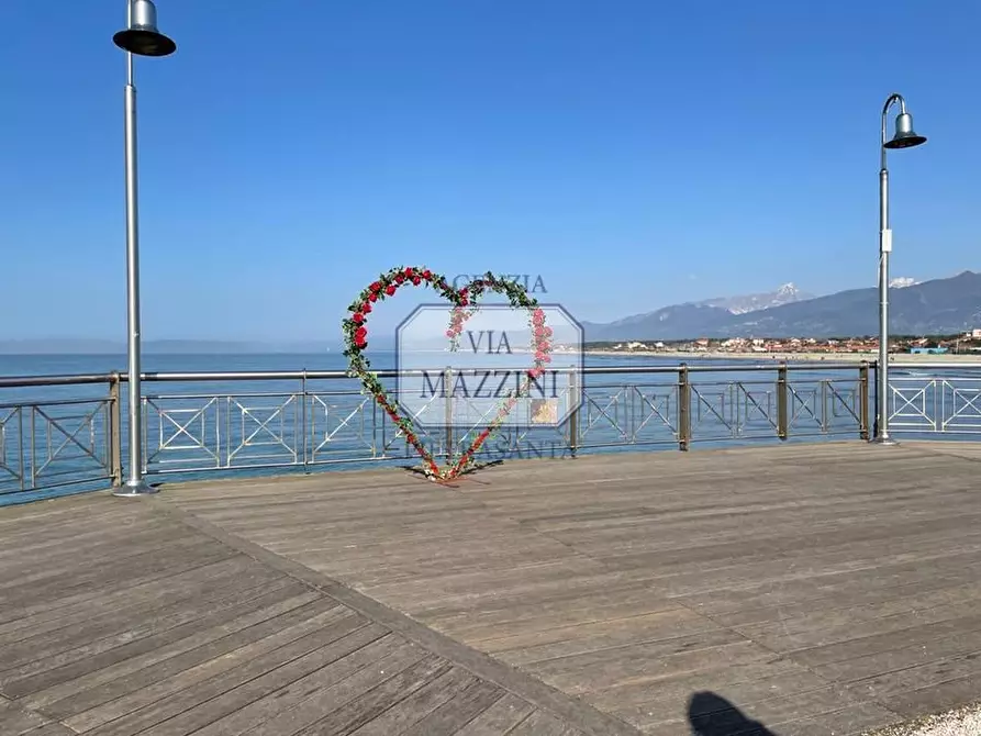 Immagine 21 di Villa in vendita  a Pietrasanta