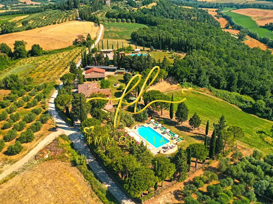 Immagine 11 di Agriturismo in vendita  a Peccioli