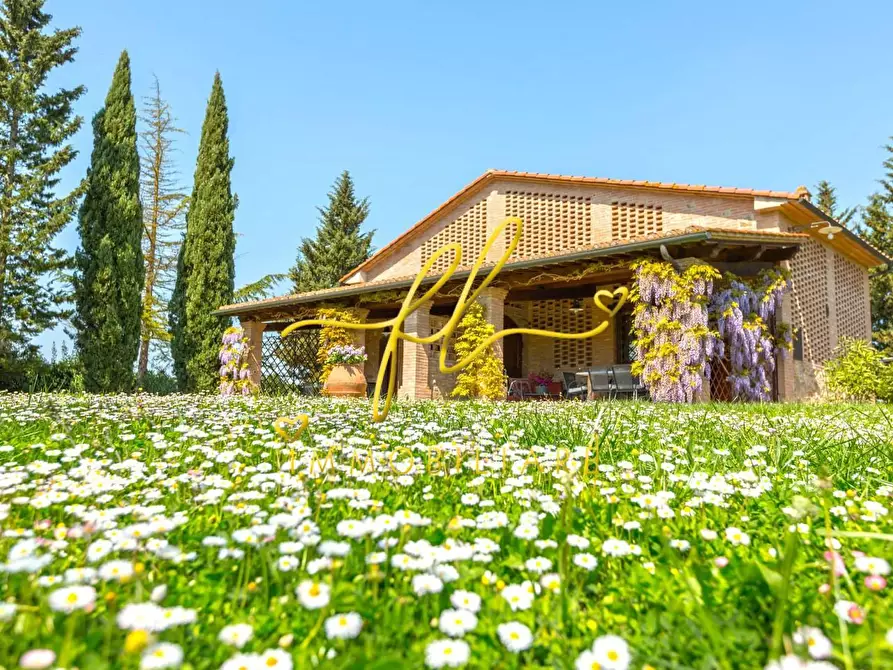 Immagine 14 di Agriturismo in vendita  a Peccioli