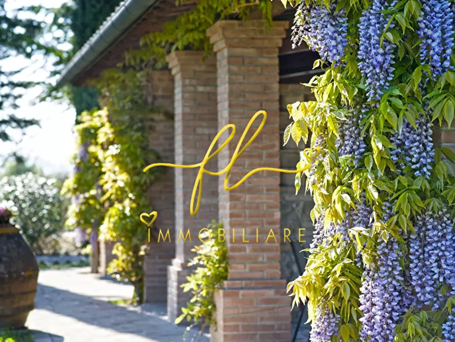 Immagine 16 di Agriturismo in vendita  a Peccioli