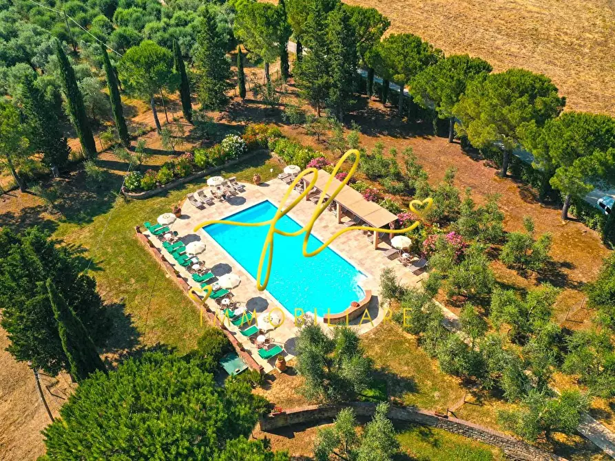 Immagine 4 di Agriturismo in vendita  a Peccioli
