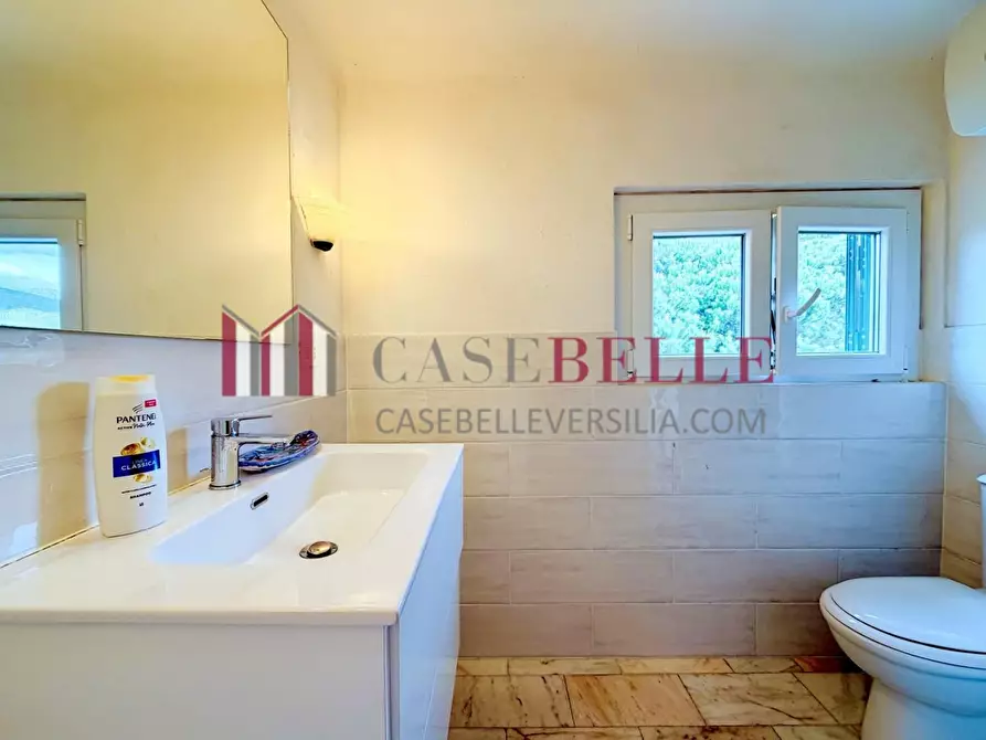 Immagine 25 di Casa indipendente in affitto  a Forte Dei Marmi