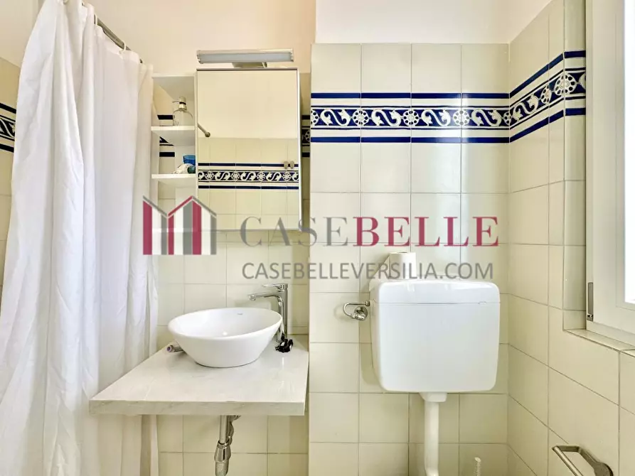 Immagine 11 di Casa bifamiliare in affitto  a Forte Dei Marmi