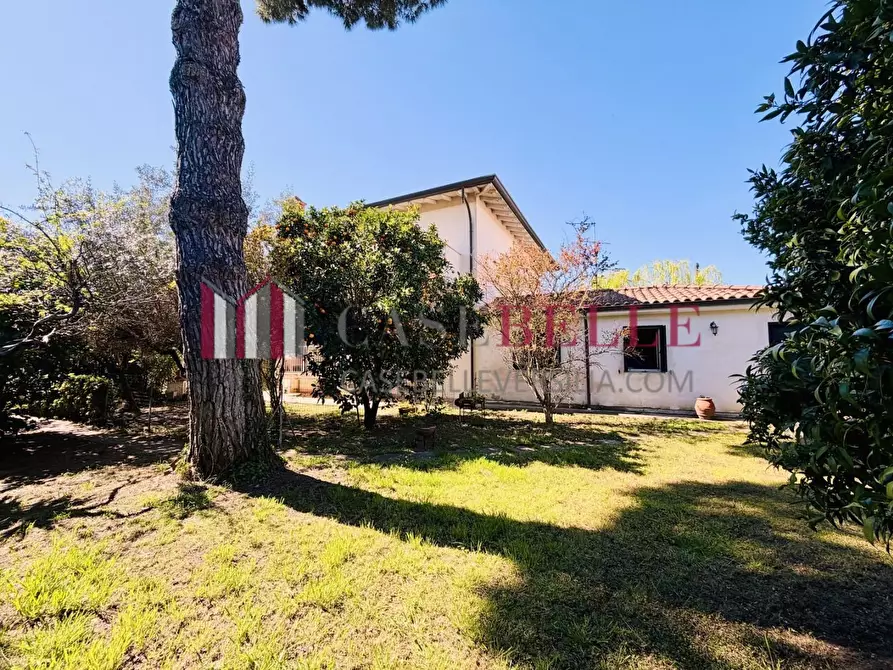 Immagine 57 di Casa indipendente in vendita  a Camaiore