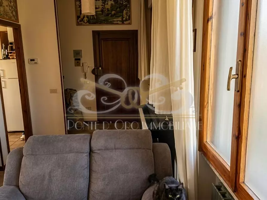 Immagine 10 di Appartamento in vendita  a Vecchiano
