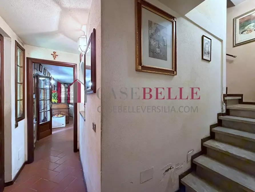 Immagine 13 di Casa bifamiliare in vendita  a Camaiore