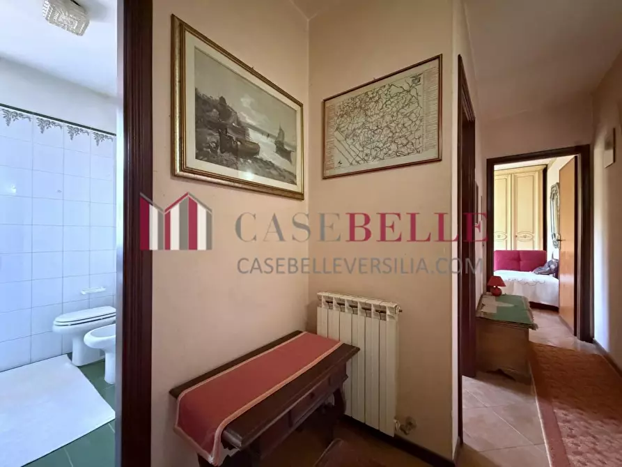 Immagine 15 di Casa bifamiliare in vendita  a Camaiore