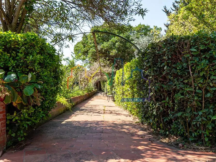 Immagine 24 di Villa in vendita  a Livorno