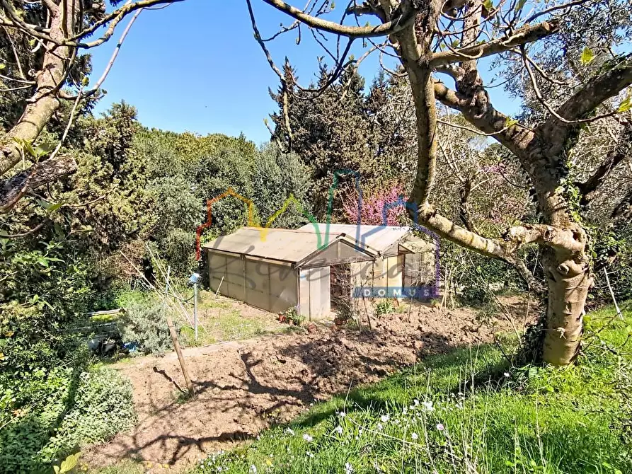 Immagine 37 di Villa in vendita  a Livorno