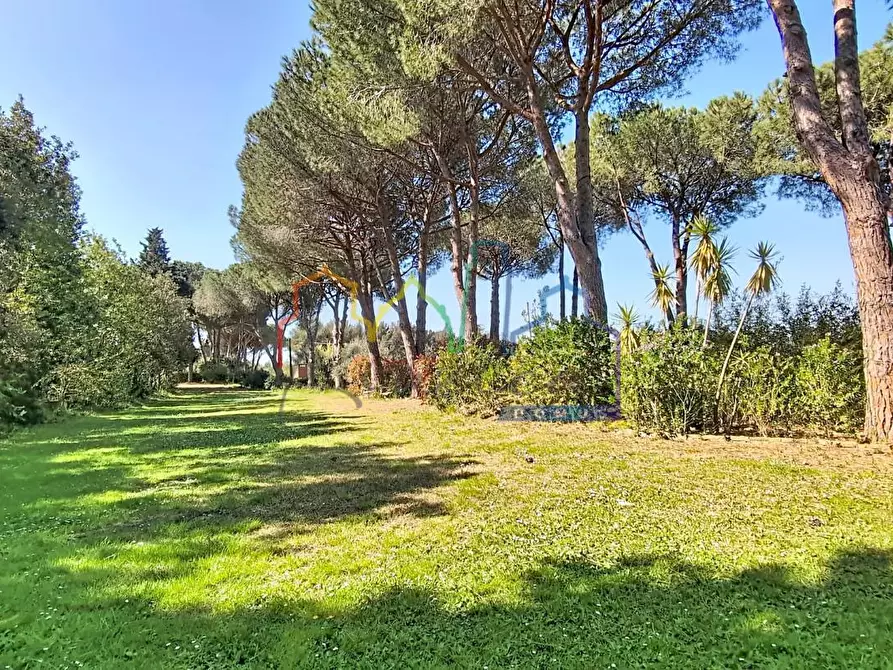 Immagine 34 di Villa in vendita  a Livorno