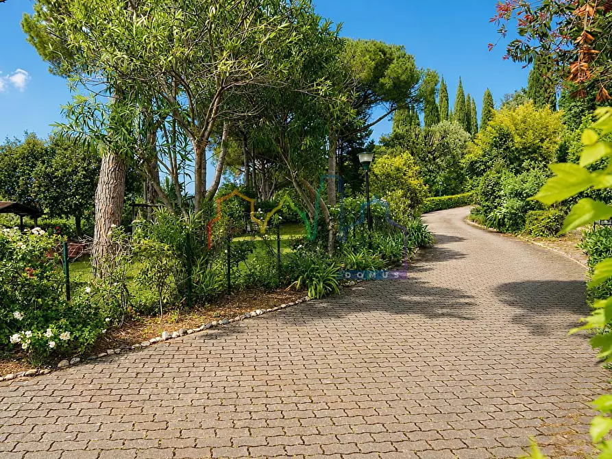 Immagine 7 di Villa in vendita  a Livorno