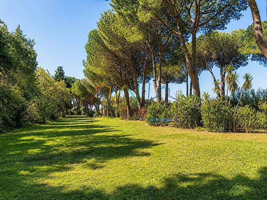 Immagine 6 di Villa in vendita  a Livorno