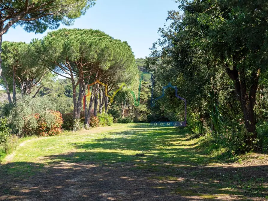 Immagine 33 di Villa in vendita  a Livorno
