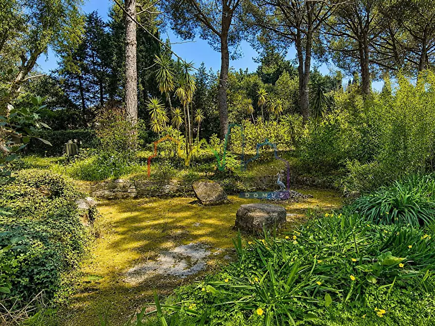 Immagine 52 di Villa in vendita  a Livorno