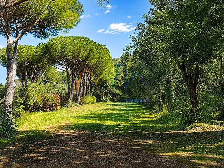 Immagine 5 di Villa in vendita  a Livorno
