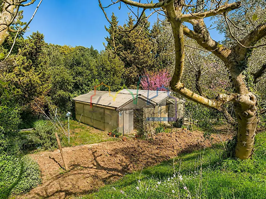 Immagine 57 di Villa in vendita  a Livorno